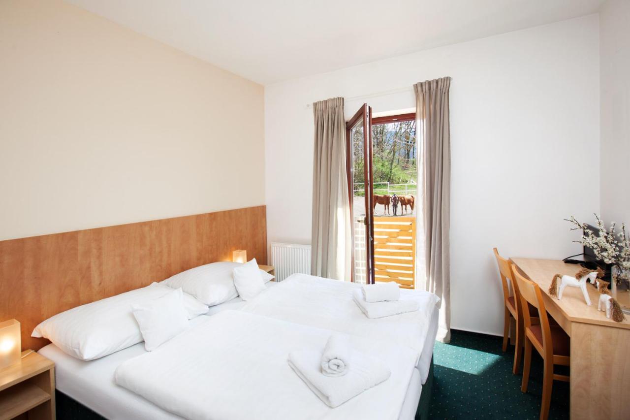 Hotel Panska Licha Брно Екстер'єр фото